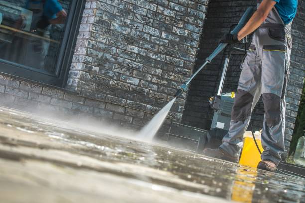 Best Driveway Pressure Washing  in Benld, IL